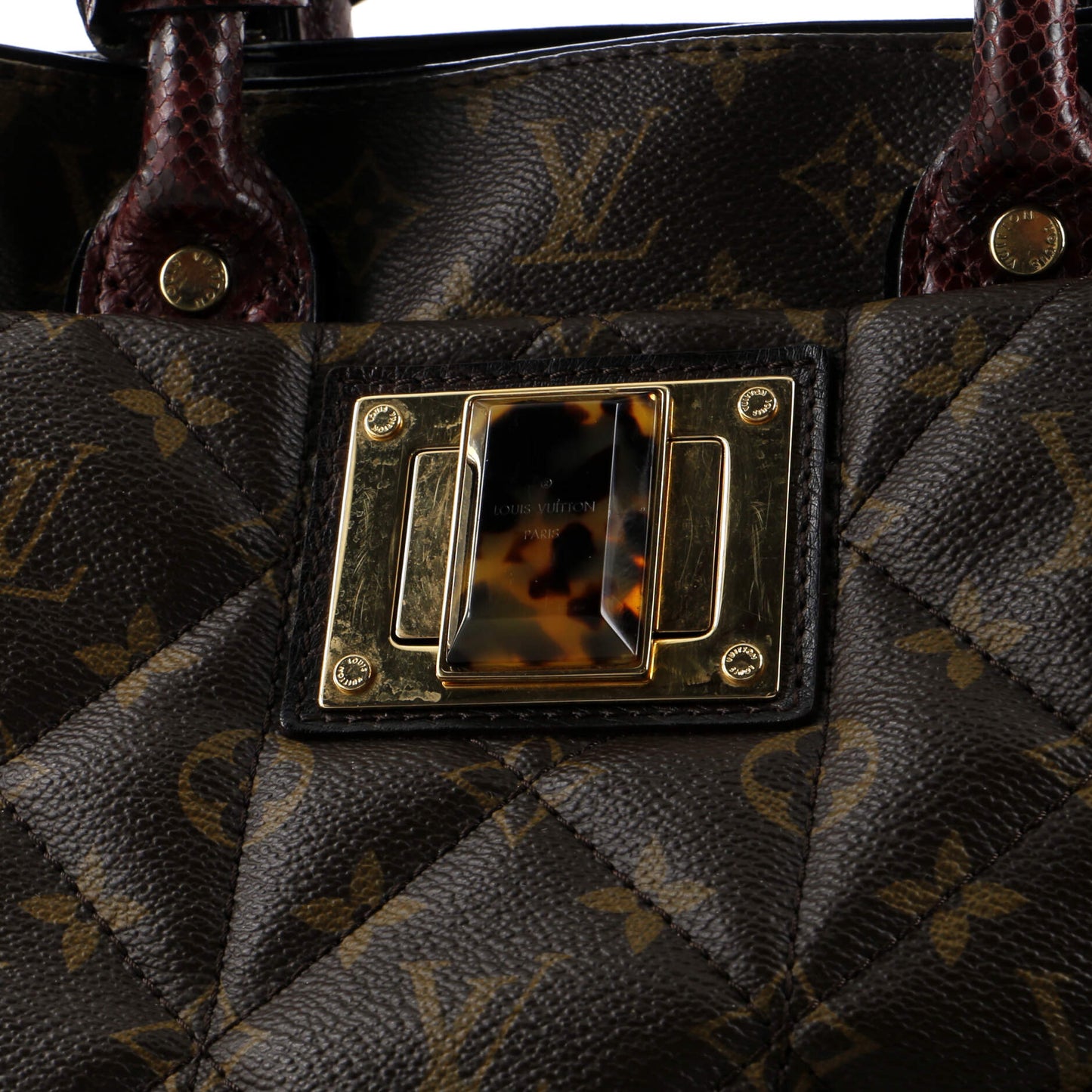 Louis Vuitton Exotique Handbag Monogram Etoile MM