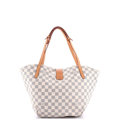 Louis Vuitton Salina Handbag Damier PM