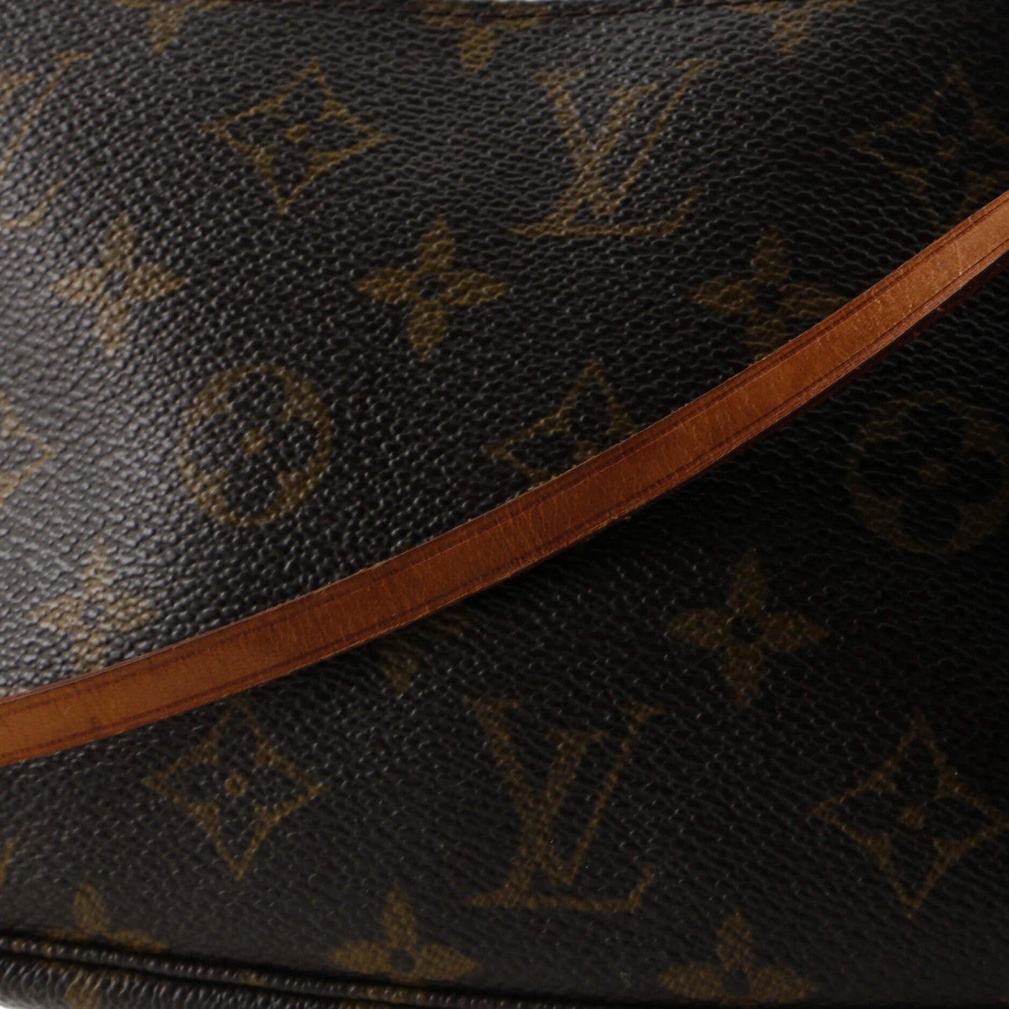 Louis Vuitton Pochette Accessoires Monogram Canvas