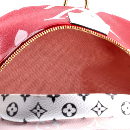 Louis Vuitton Bum Bag Limited Edition Colored Monogram Giant