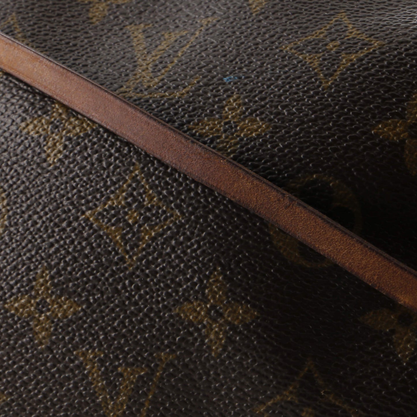 Louis Vuitton Pochette Accessoires Monogram Canvas