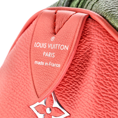 Louis Vuitton Speedy Handbag Limited Edition Jeff Koons Da Vinci Print Canvas 30