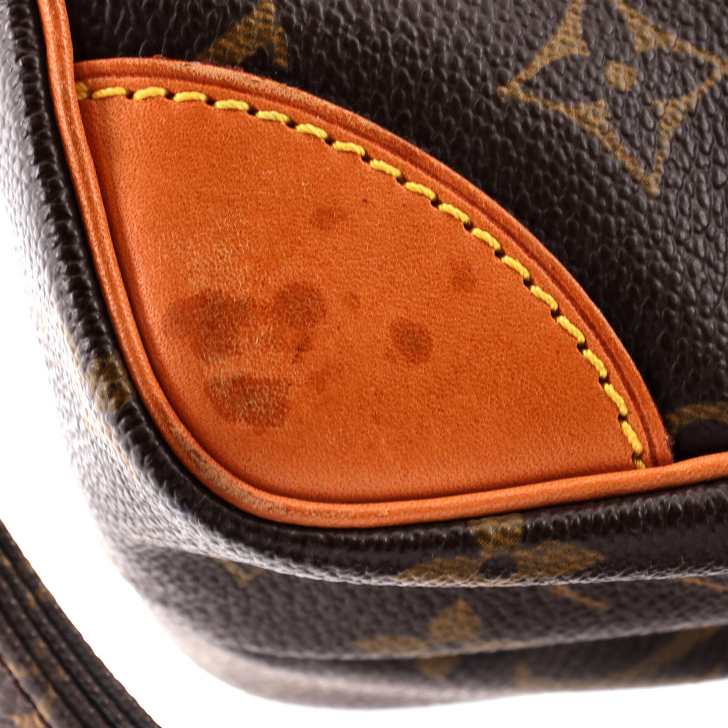 Louis Vuitton Amazone Bag Monogram Canvas