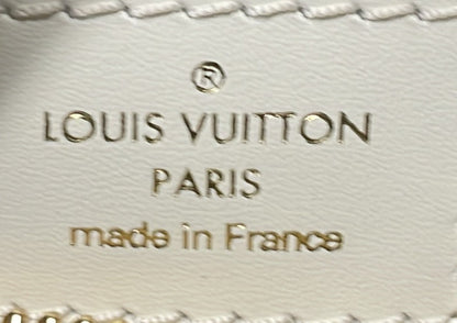 Louis Vuitton Neo Noe By The Pool Monogram Raffia MM