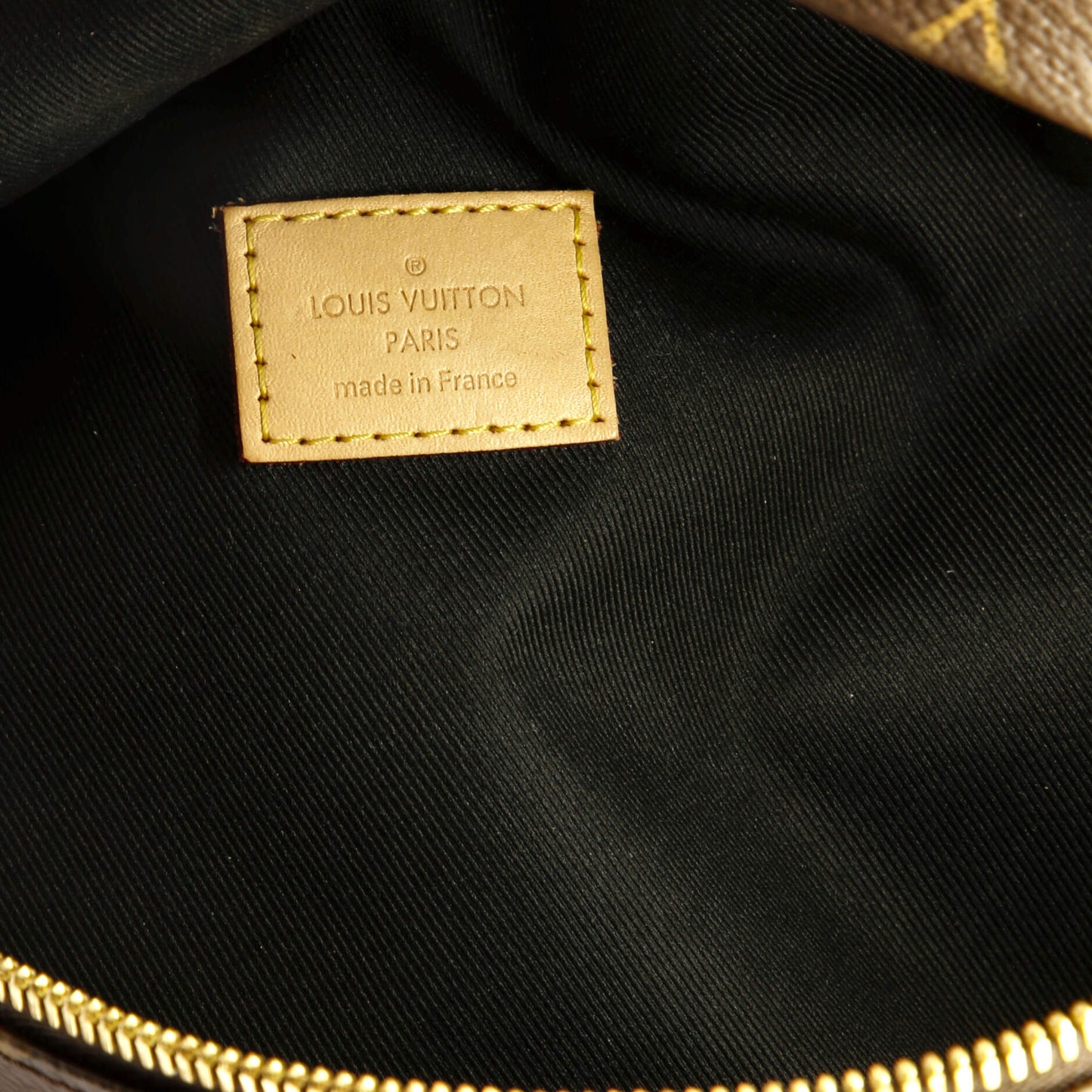 Louis Vuitton Bum Bag Monogram Canvas
