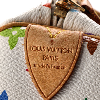 Louis Vuitton Speedy Handbag Monogram Multicolor 30
