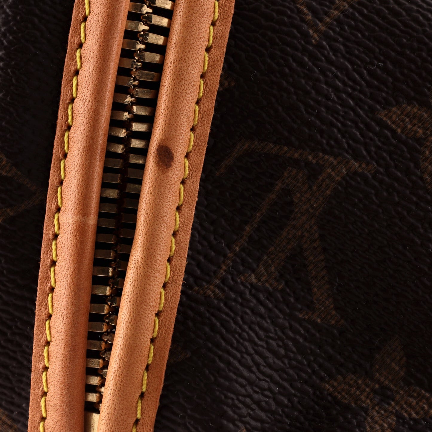Louis Vuitton Dog Carrier Bag Monogram Canvas 50