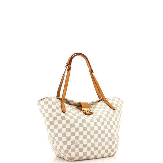 Louis Vuitton Salina Handbag Damier PM