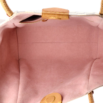 Louis Vuitton Propriano Handbag Damier
