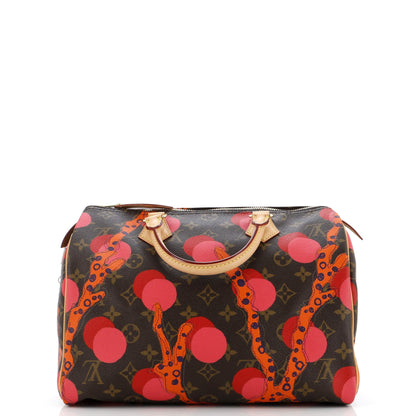 Louis Vuitton Speedy Handbag Limited Edition Monogram Ramages 30