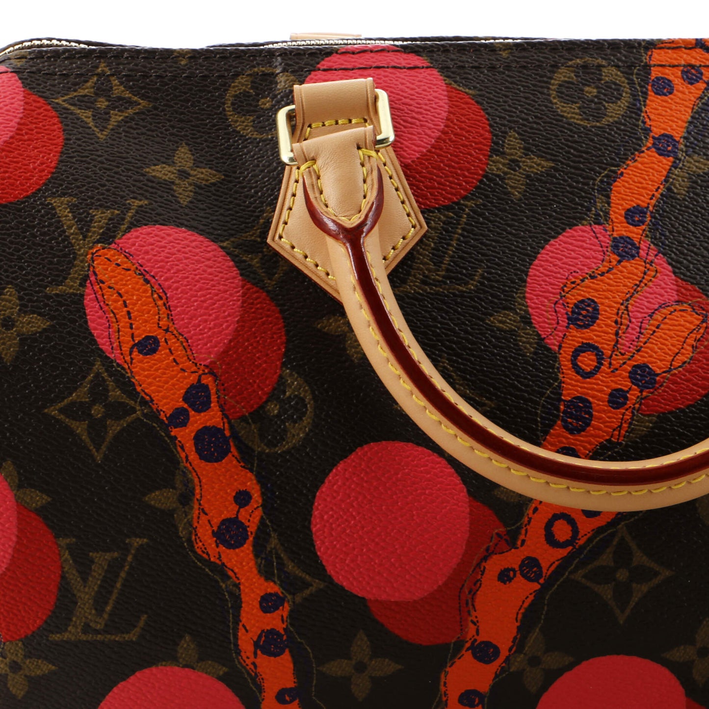 Louis Vuitton Speedy Handbag Limited Edition Monogram Ramages 30