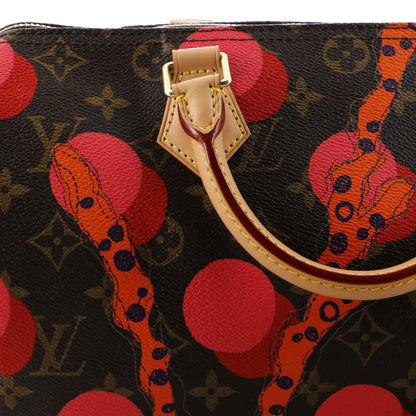 Louis Vuitton Speedy Handbag Limited Edition Monogram Ramages 30