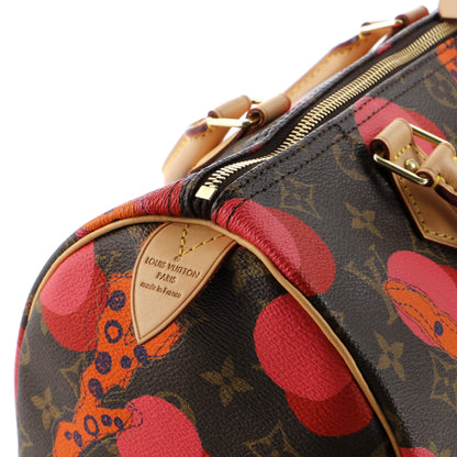 Louis Vuitton Speedy Handbag Limited Edition Monogram Ramages 30