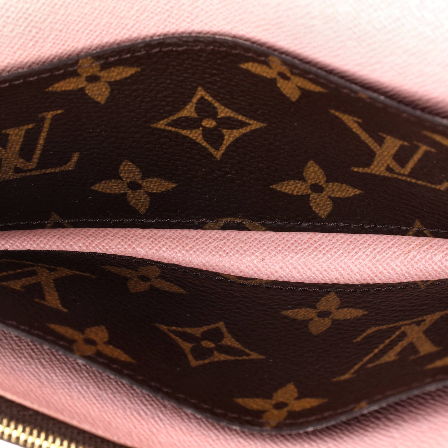 Louis Vuitton Emilie Wallet Limited Edition Blooming Flowers Monogram Canvas