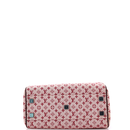 Louis Vuitton Josephine Handbag Mini Lin PM