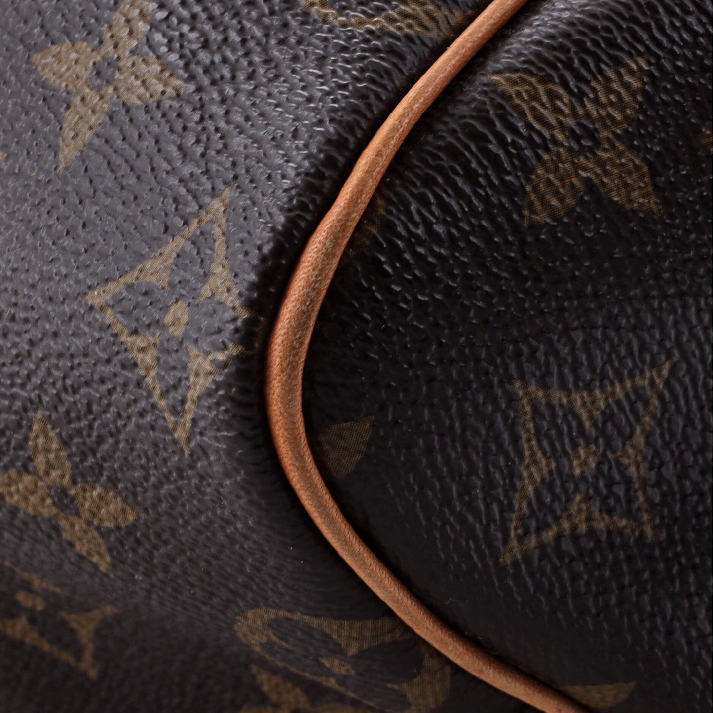 Louis Vuitton Speedy Handbag Monogram Canvas 25