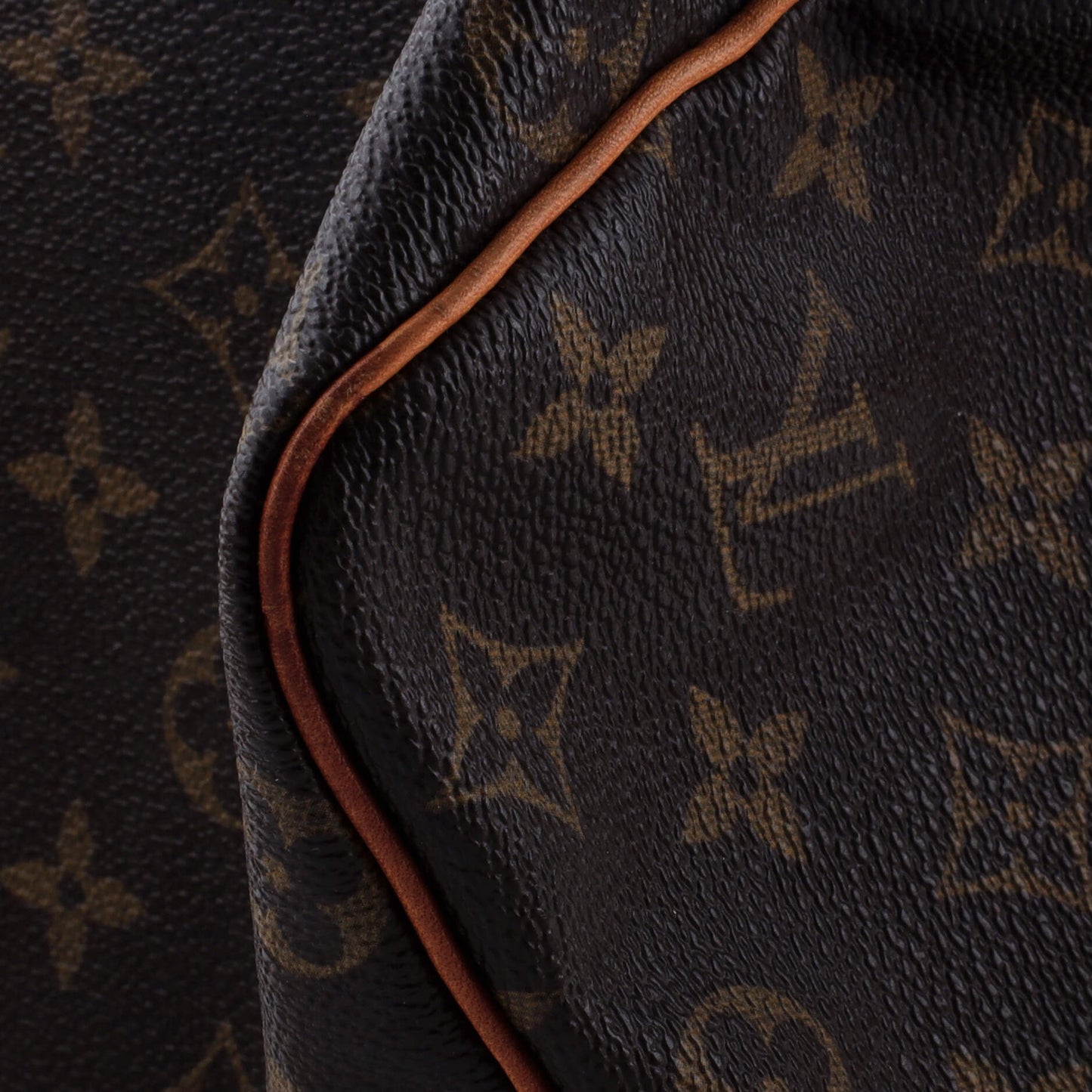 Louis Vuitton Speedy Handbag Monogram Canvas 25