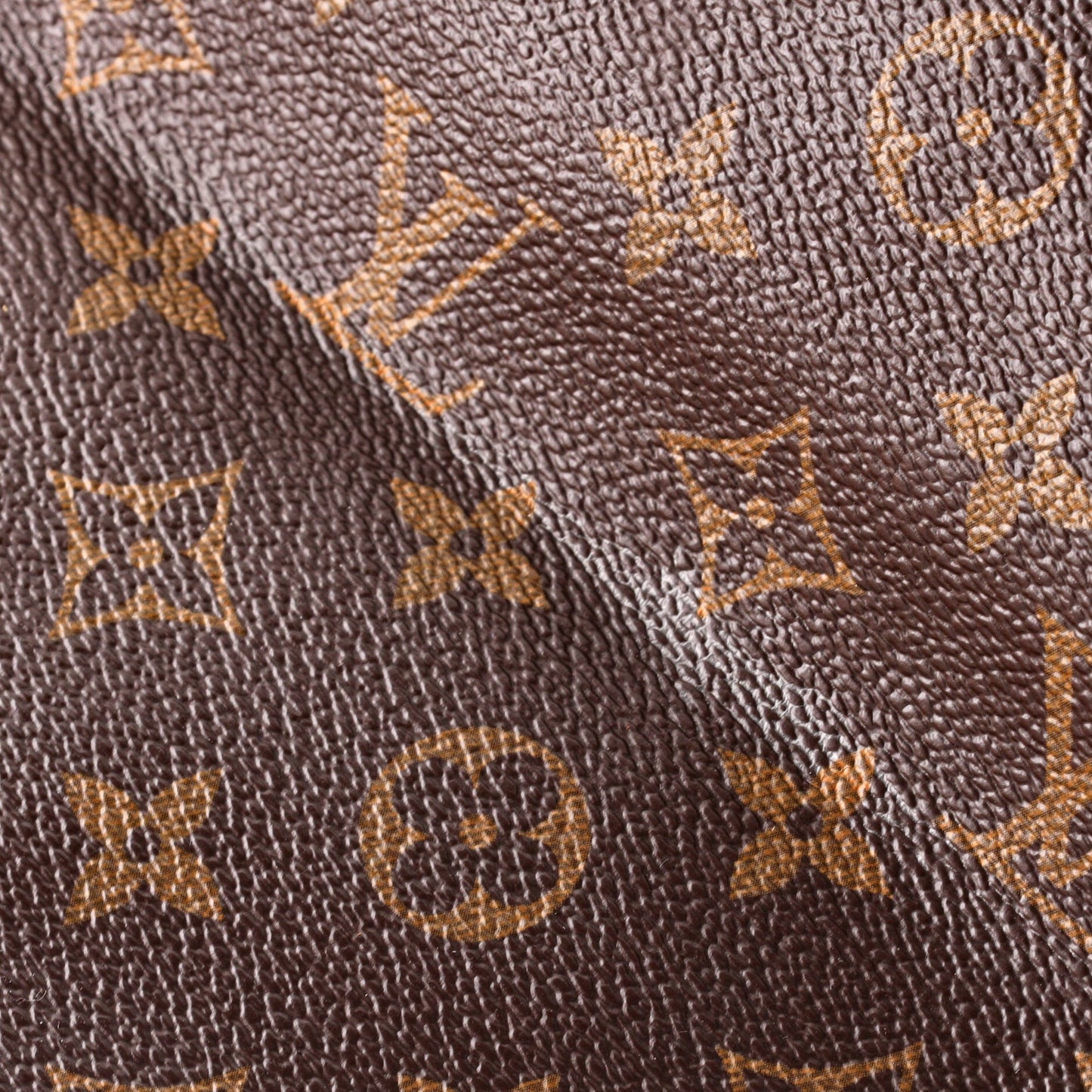 Louis Vuitton Tuileries Hobo Monogram Canvas with Leather