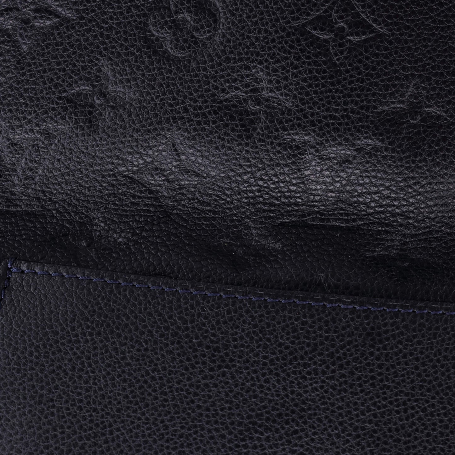 Louis Vuitton Petillante Clutch Monogram Empreinte Leather