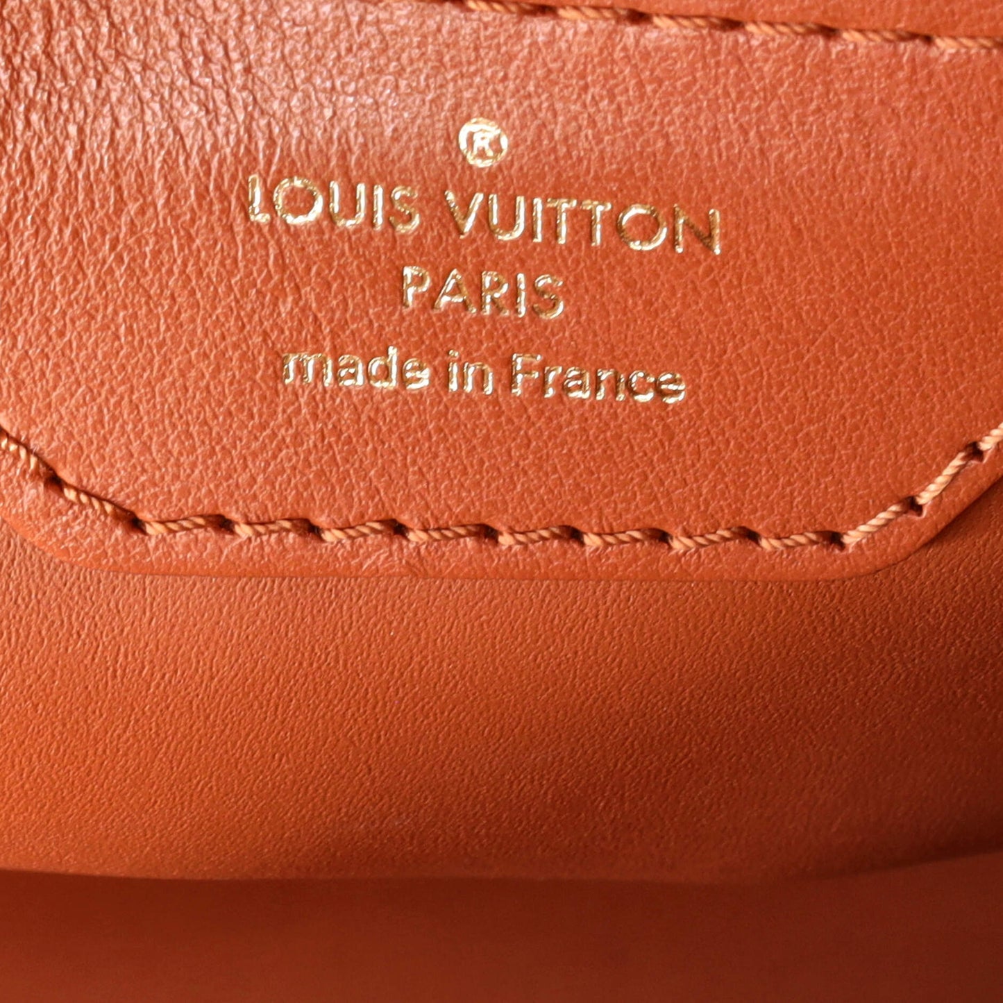 Louis Vuitton Capucines Bag Raffia with Leather PM