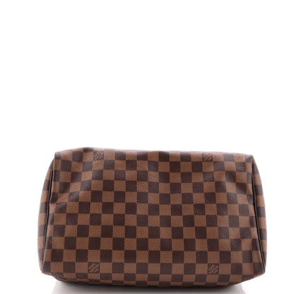Louis Vuitton Speedy Handbag Damier 30