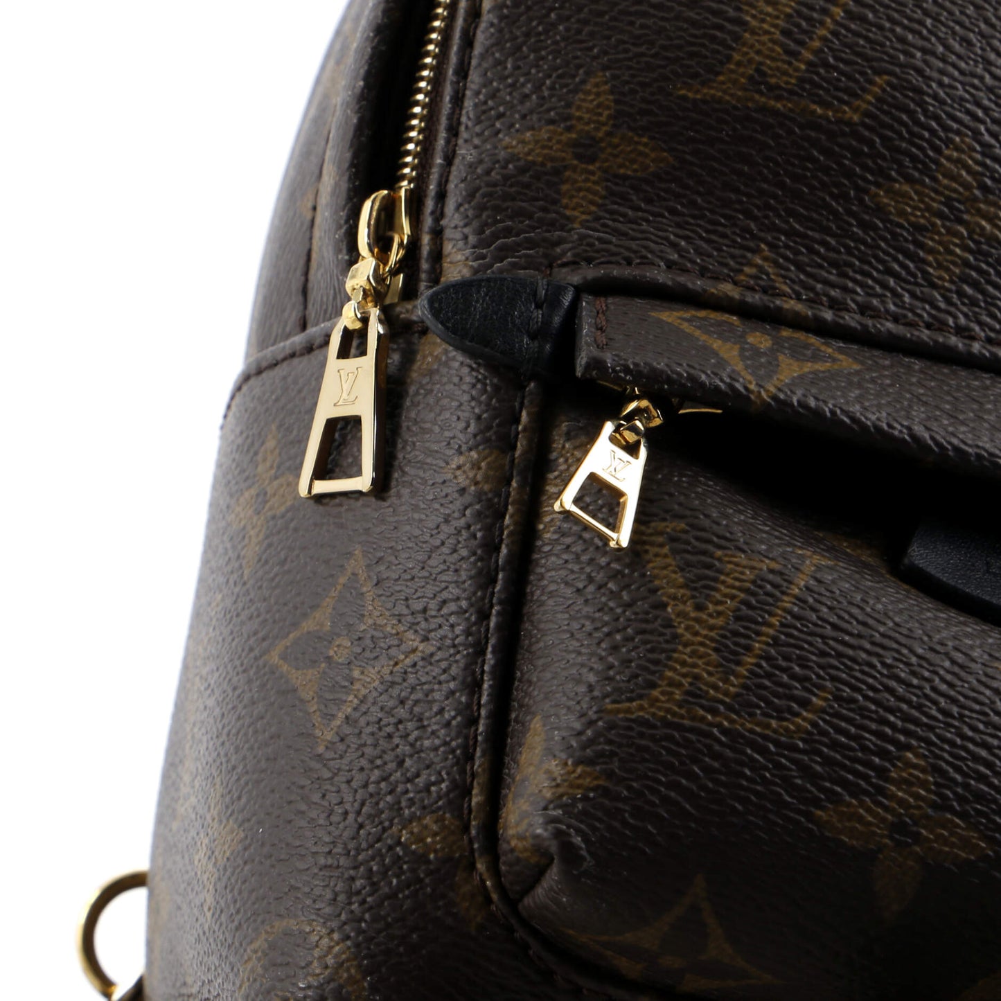 Louis Vuitton Palm Springs Backpack Monogram Canvas Mini