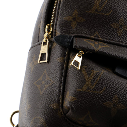 Louis Vuitton Palm Springs Backpack Monogram Canvas Mini