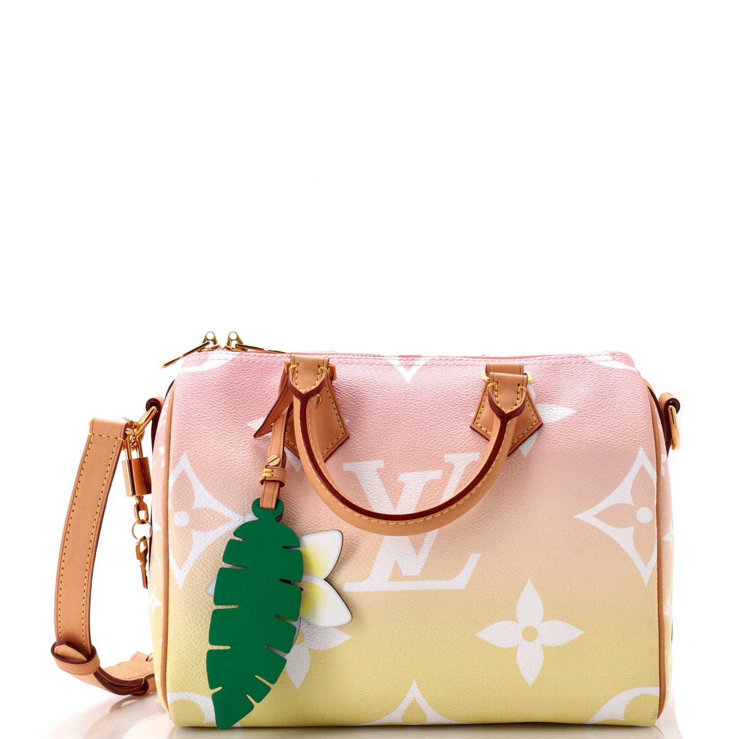 Louis Vuitton Speedy Bandouliere Bag By The Pool Monogram Giant 25