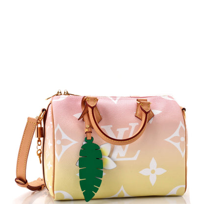Louis Vuitton Speedy Bandouliere Bag By The Pool Monogram Giant 25