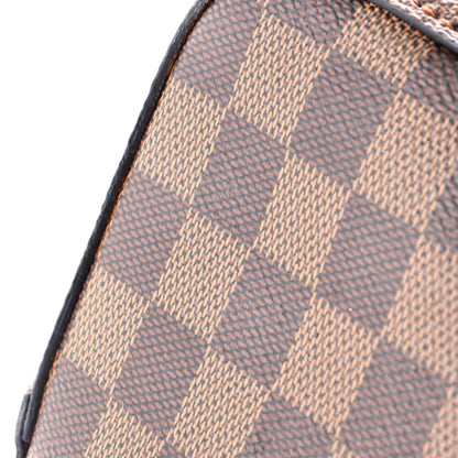 Louis Vuitton NeoNoe Handbag Damier MM
