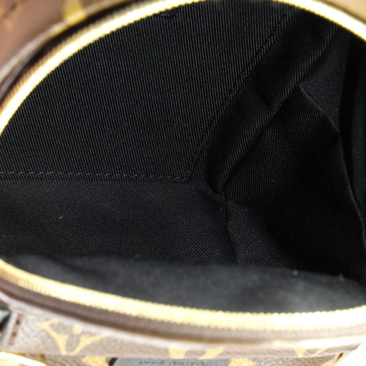 Louis Vuitton Palm Springs Backpack Monogram Canvas Mini