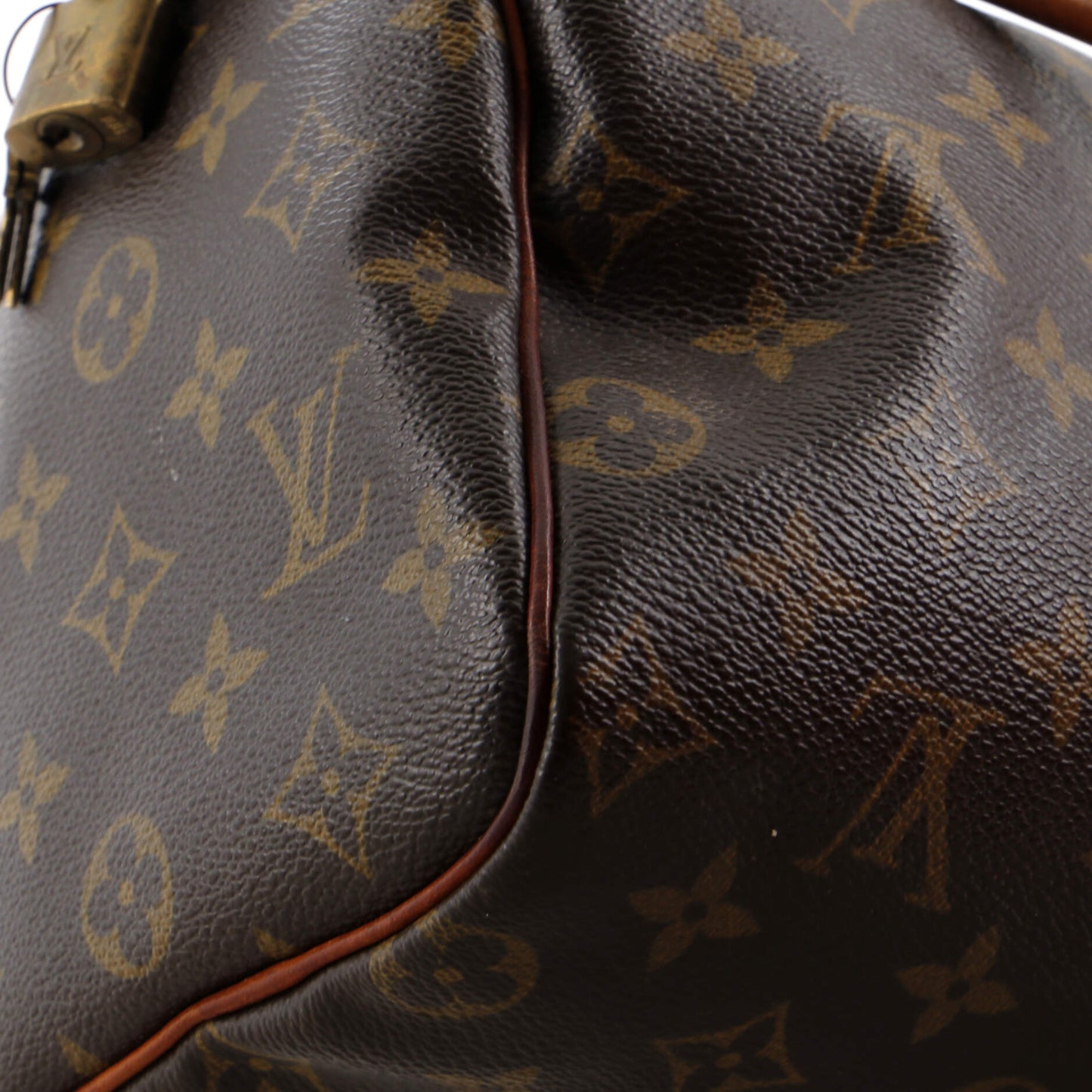 Louis Vuitton Speedy Handbag Monogram Canvas 25
