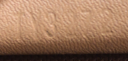 Louis Vuitton Speedy Bandouliere NM Bag Monogram Canvas Nano