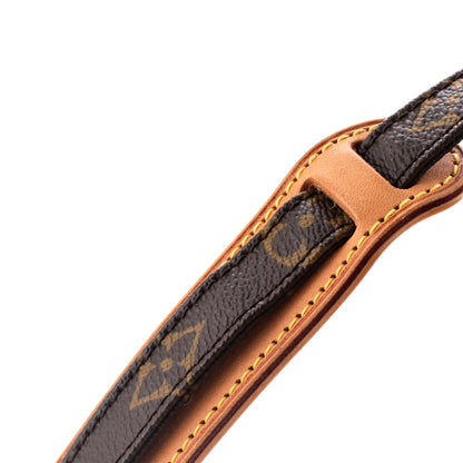 Louis Vuitton Amazone Bag Monogram Canvas