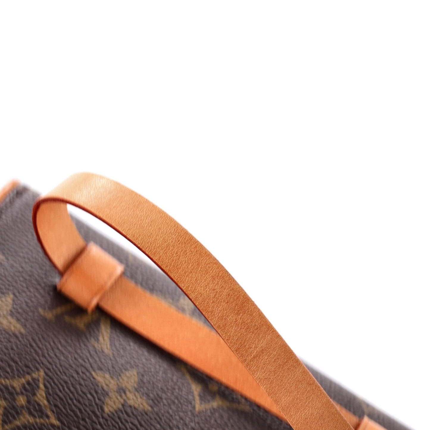 Louis Vuitton Florentine Waist Bag Monogram Canvas
