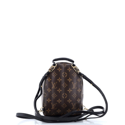 Louis Vuitton Palm Springs Backpack Monogram Canvas Mini