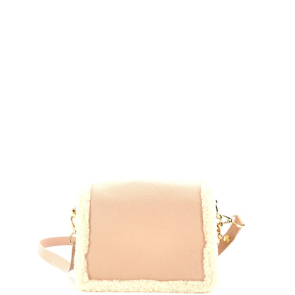 Louis Vuitton Dauphine Shoulder Bag Leather with Shearling Mini