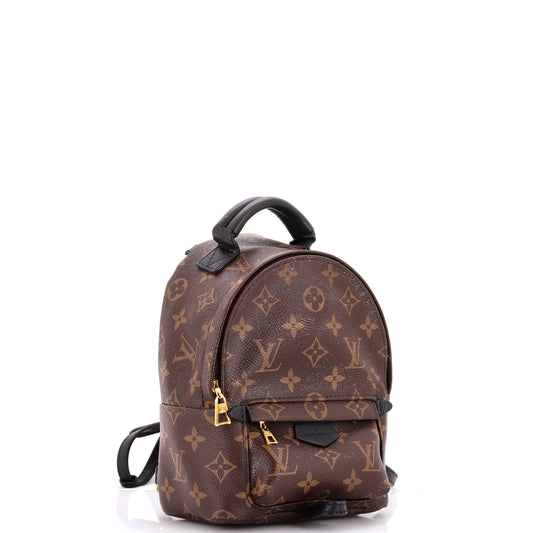 Louis Vuitton Palm Springs Backpack Monogram Canvas Mini