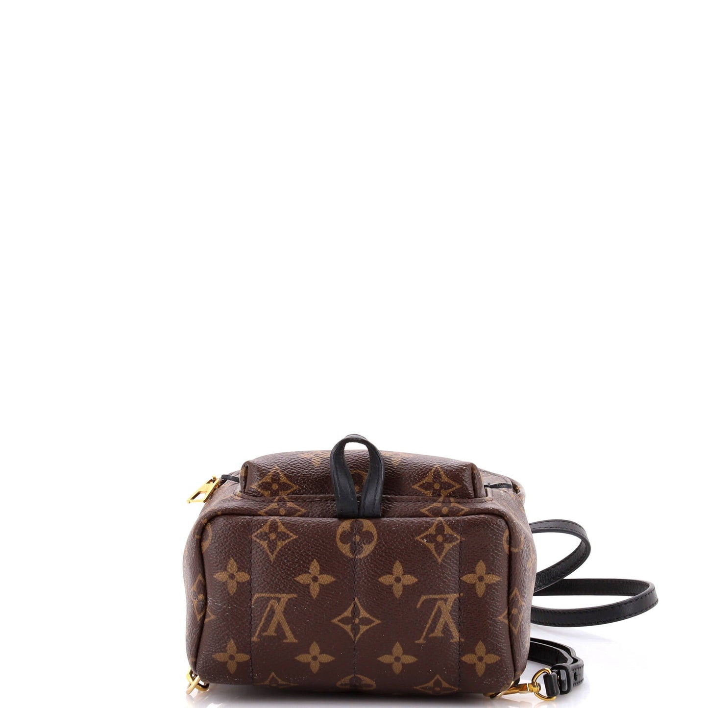 Louis Vuitton Palm Springs Backpack Monogram Canvas Mini