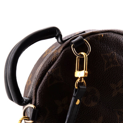 Louis Vuitton Palm Springs Backpack Monogram Canvas Mini