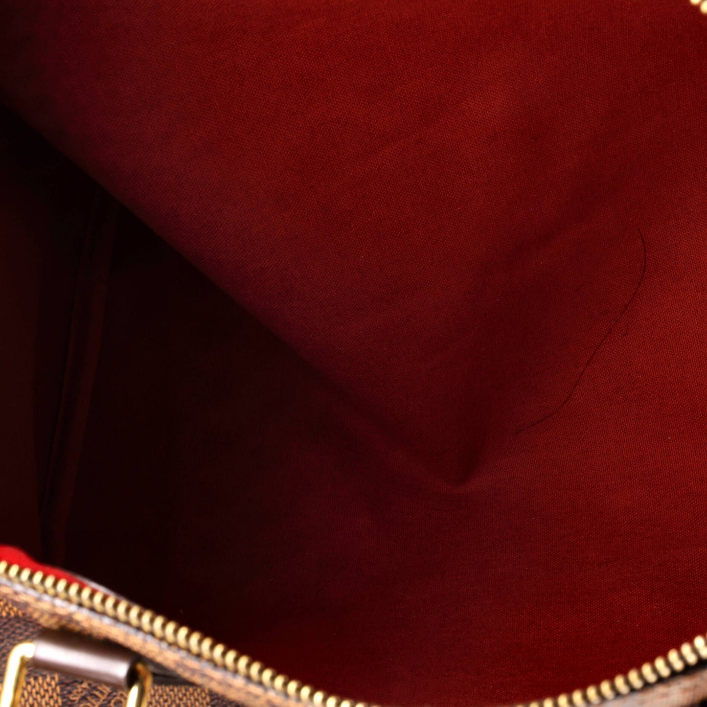 Louis Vuitton Speedy Handbag Damier 30