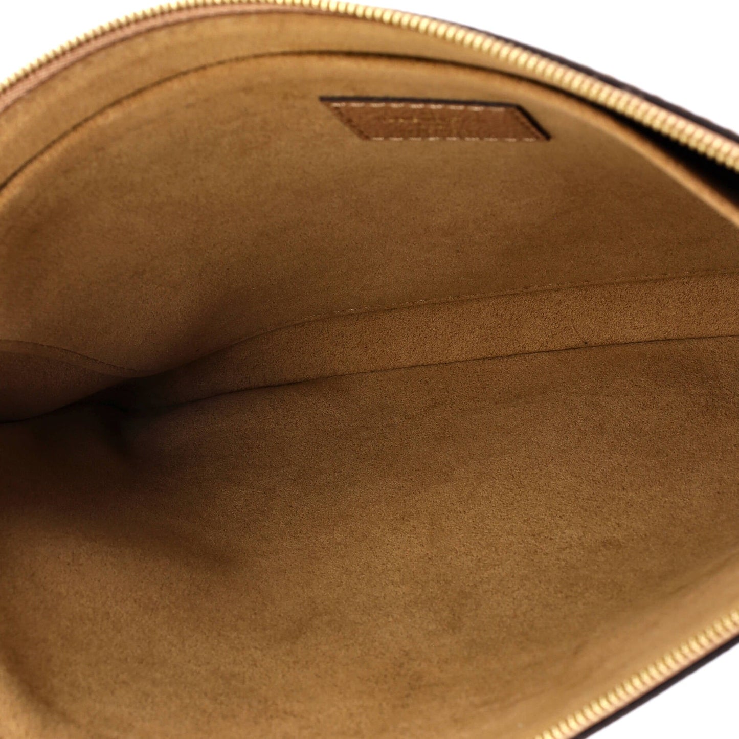 Louis Vuitton Daily Pouch Monogram Canvas