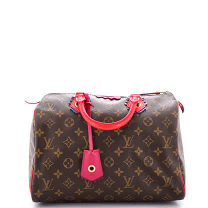 Louis Vuitton Speedy Handbag Limited Edition Totem Monogram Canvas 30