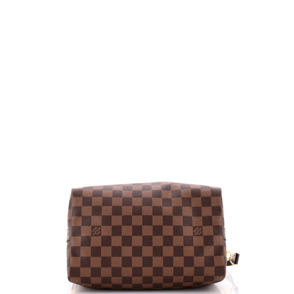 Louis Vuitton Speedy Bandouliere Bag Damier 25