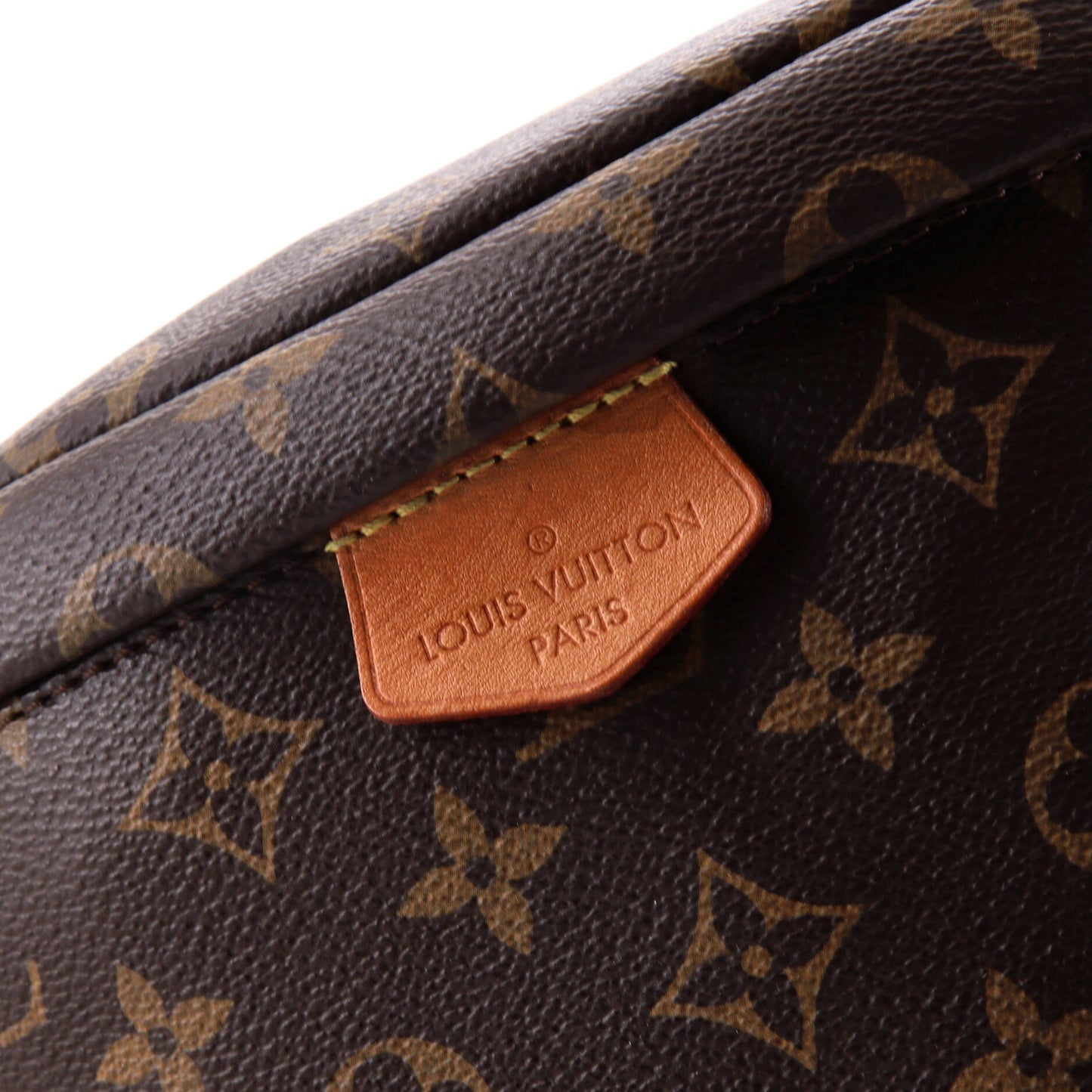 Louis Vuitton Bum Bag Monogram Canvas