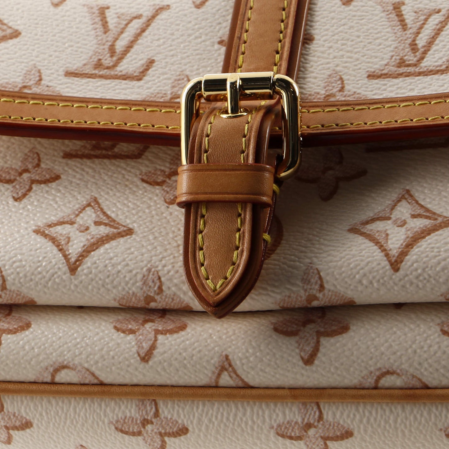 Louis Vuitton Maxi Multi Pochette Accessoires Fall for You Monogram Canvas