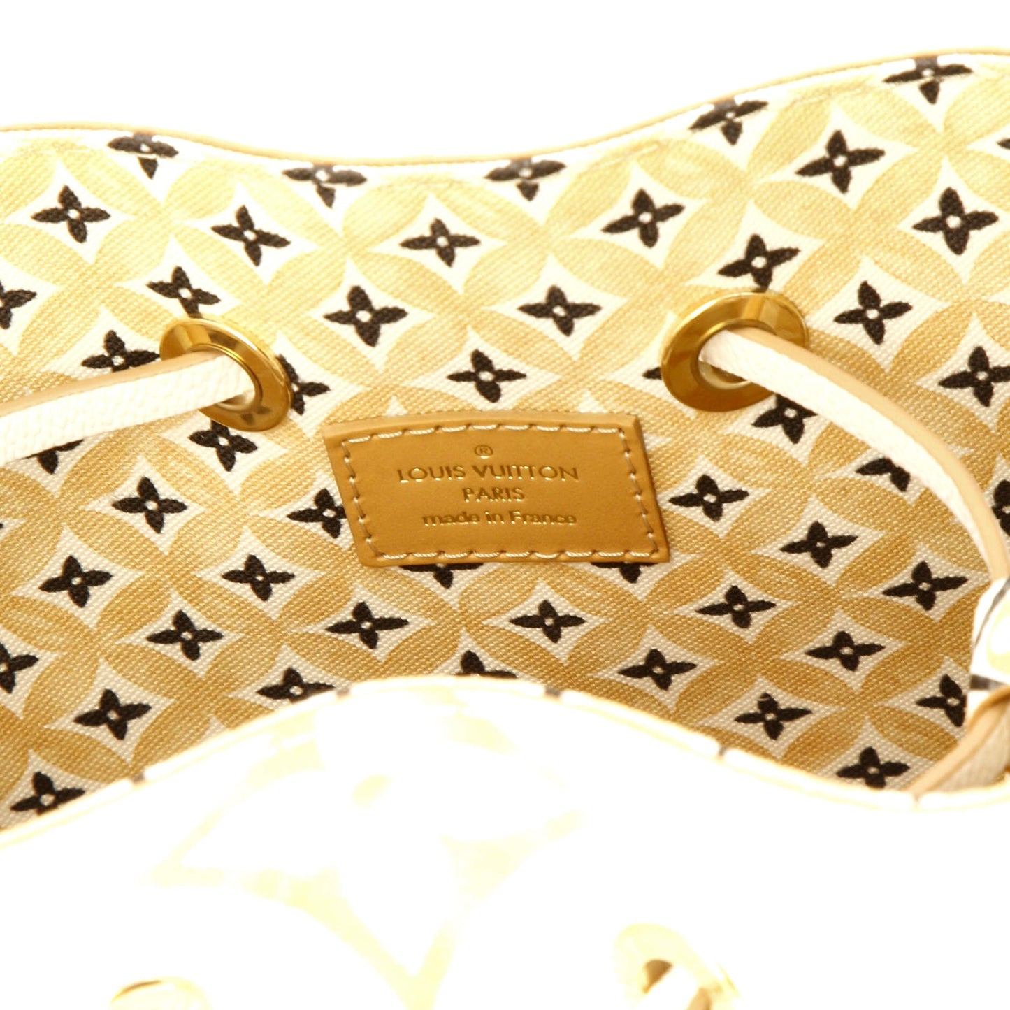 Louis Vuitton NeoNoe Handbag By The Pool Monogram Watercolor Giant BB