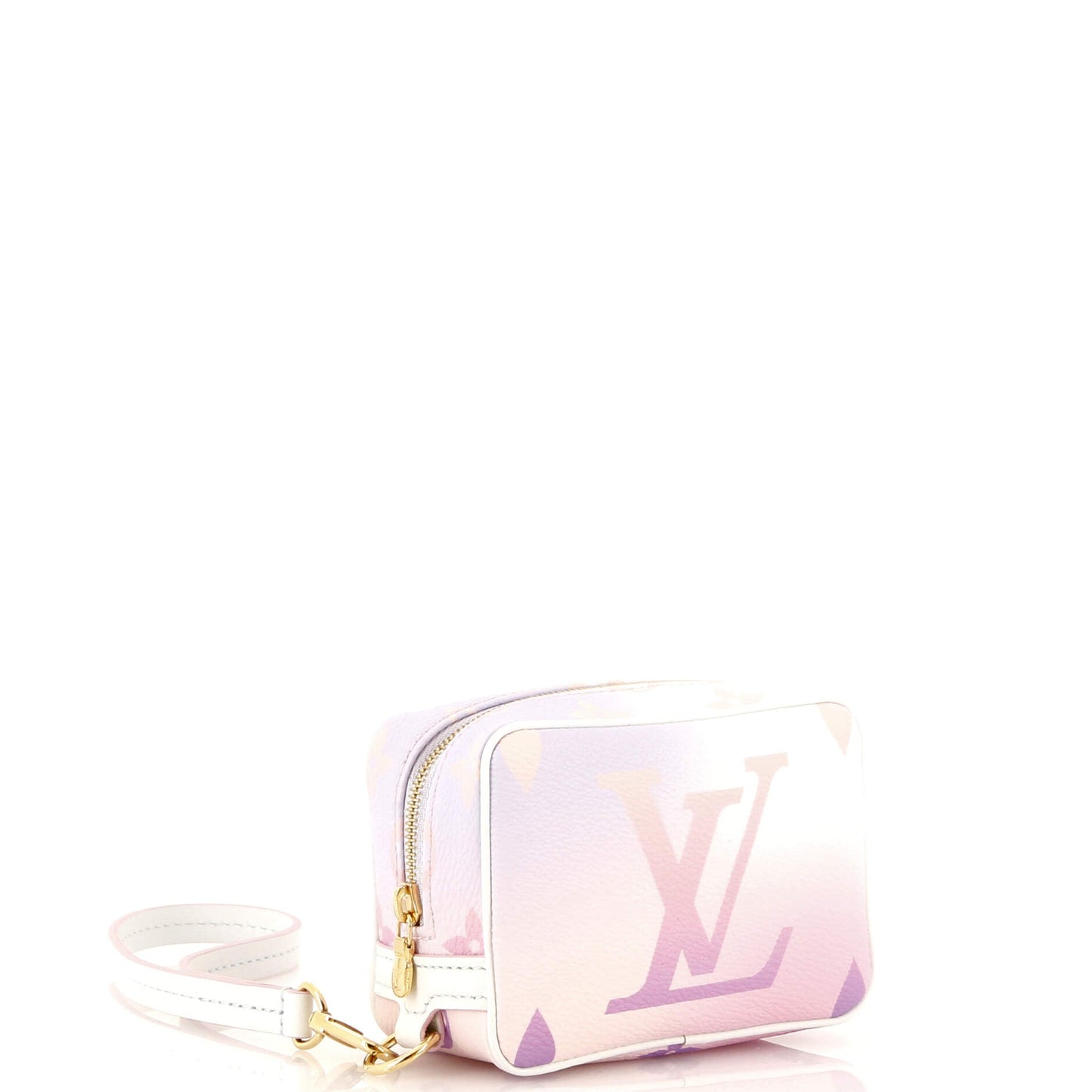 Louis Vuitton Wapity Case Spring in the City Monogram Giant Canvas