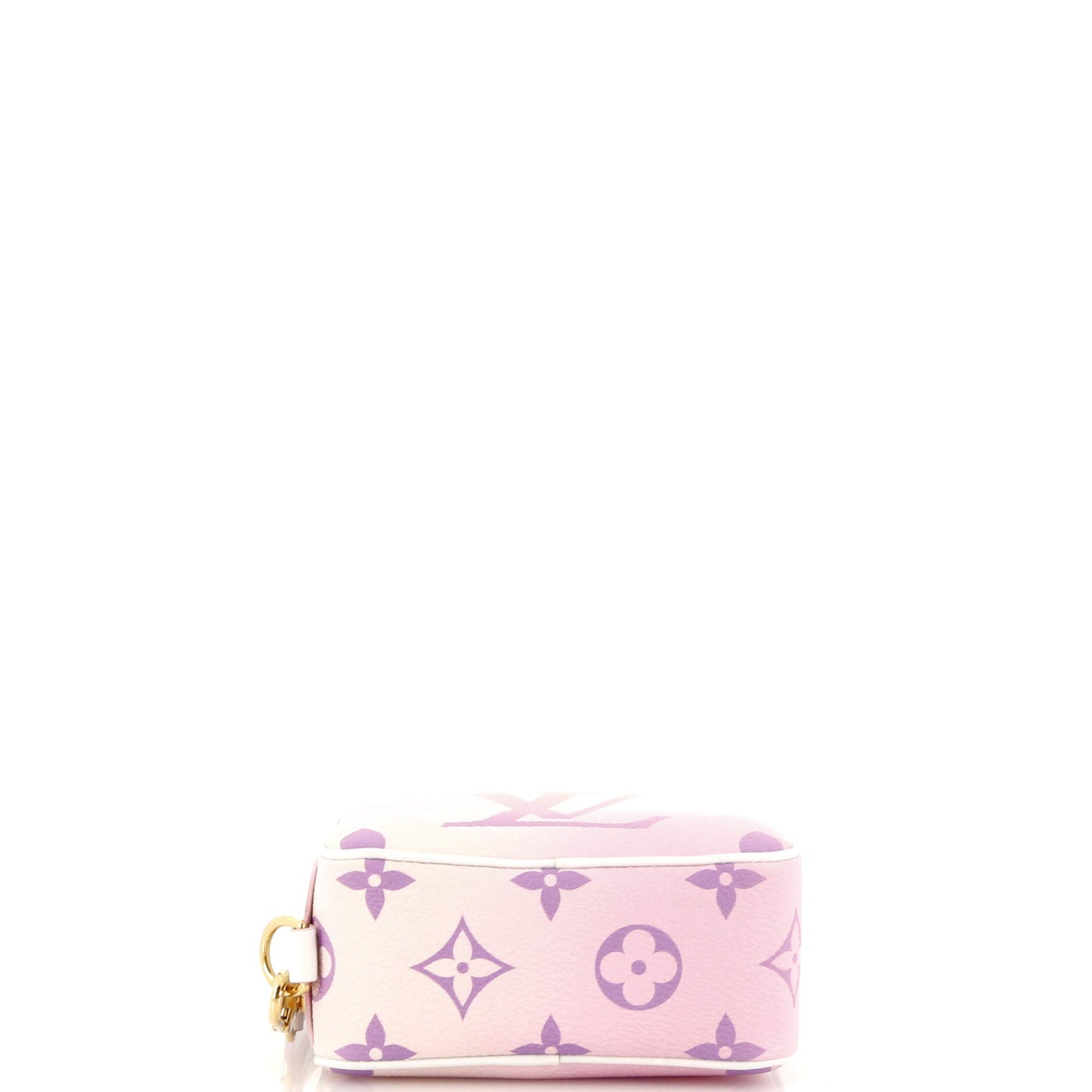 Louis Vuitton Wapity Case Spring in the City Monogram Giant Canvas