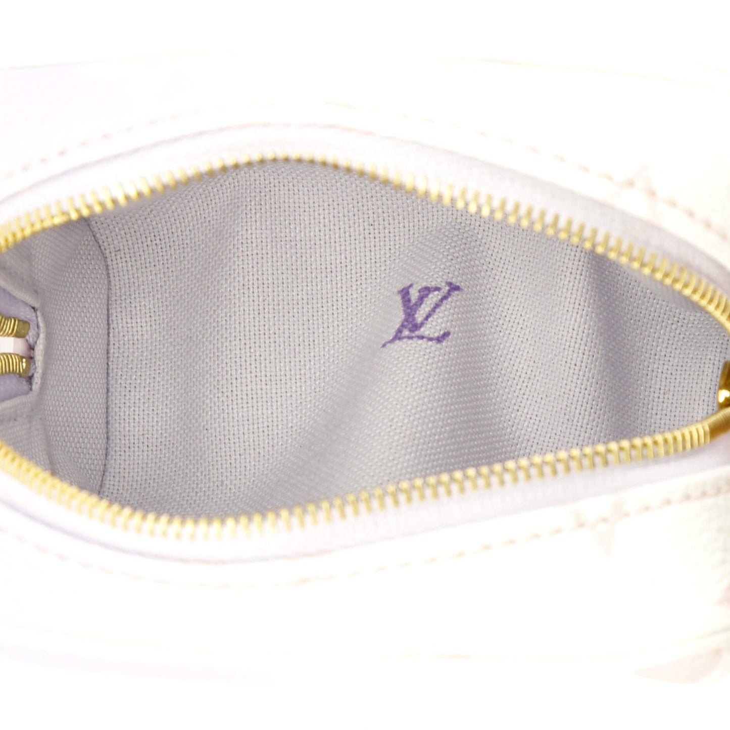 Louis Vuitton Wapity Case Spring in the City Monogram Giant Canvas